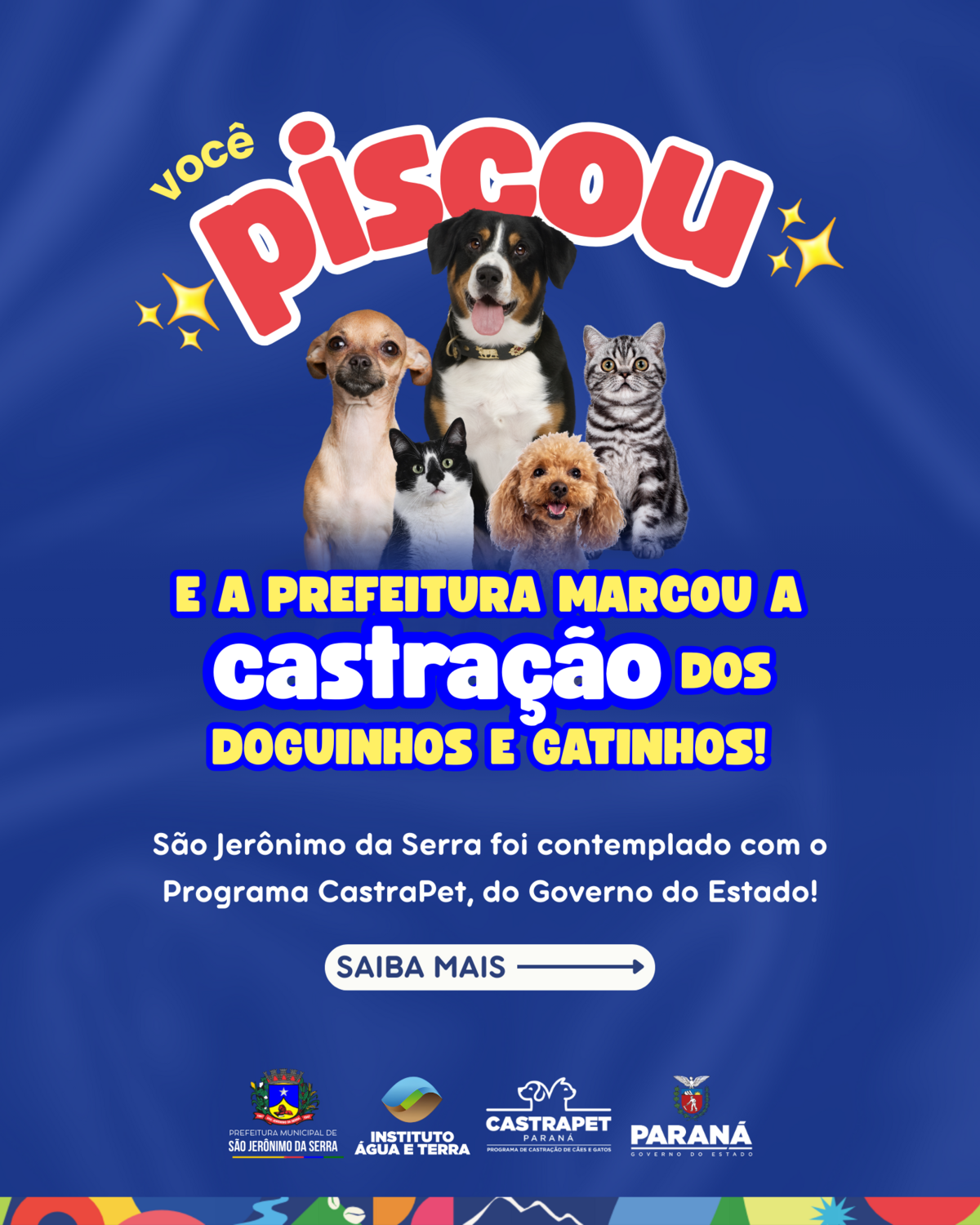 castracao-de-animais-castrapet